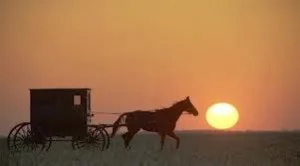 Amish Buggy 300x166 1 Jpg